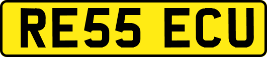 RE55ECU