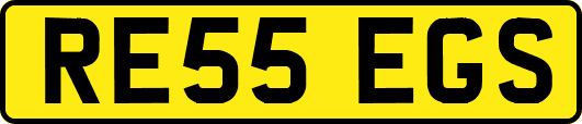 RE55EGS