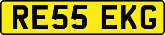 RE55EKG