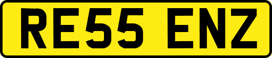 RE55ENZ