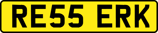RE55ERK