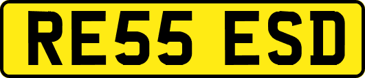 RE55ESD