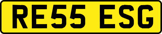 RE55ESG