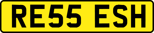 RE55ESH