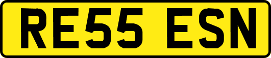 RE55ESN