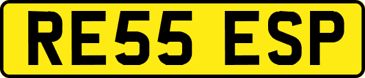 RE55ESP