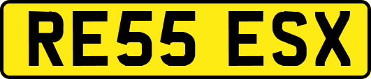 RE55ESX