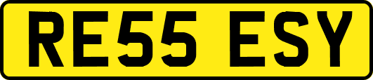 RE55ESY