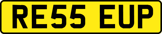 RE55EUP