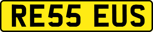 RE55EUS