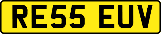 RE55EUV