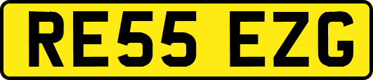 RE55EZG