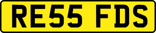 RE55FDS