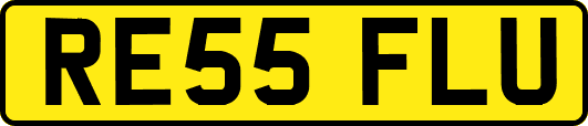 RE55FLU