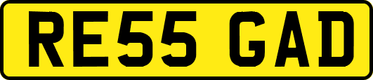 RE55GAD