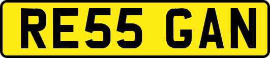 RE55GAN