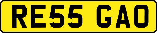 RE55GAO