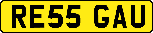 RE55GAU