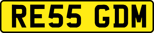 RE55GDM