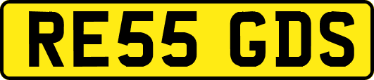 RE55GDS