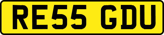 RE55GDU