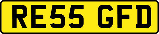 RE55GFD