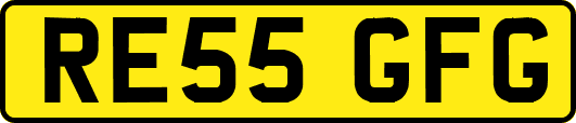 RE55GFG