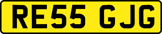 RE55GJG