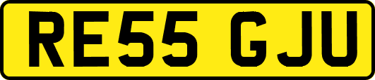 RE55GJU
