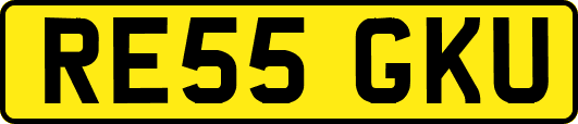 RE55GKU