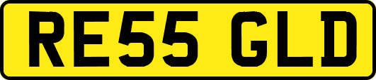 RE55GLD