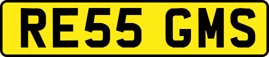 RE55GMS