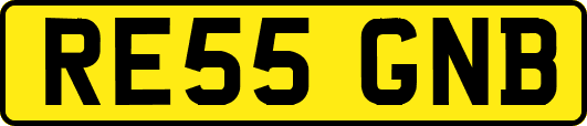 RE55GNB