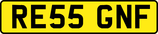 RE55GNF
