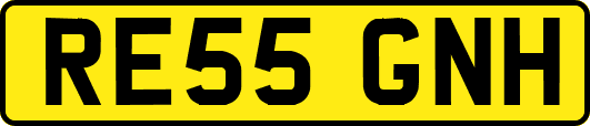 RE55GNH