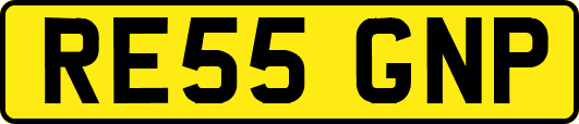 RE55GNP