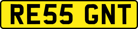RE55GNT