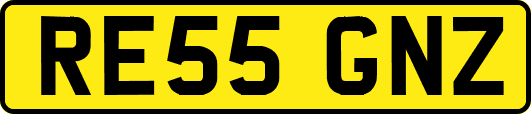 RE55GNZ