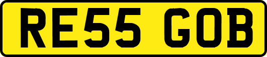 RE55GOB