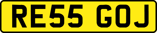 RE55GOJ