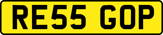 RE55GOP