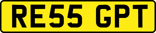 RE55GPT