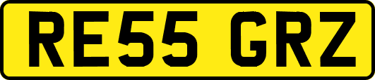 RE55GRZ