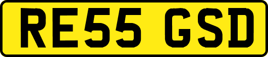 RE55GSD