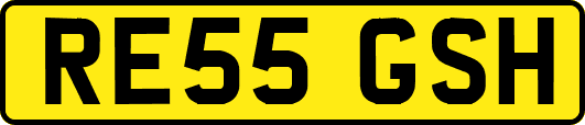 RE55GSH