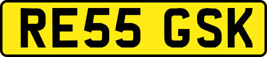 RE55GSK