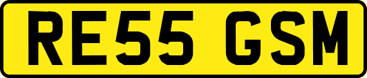RE55GSM