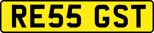 RE55GST