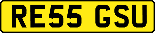 RE55GSU