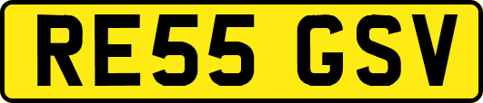 RE55GSV